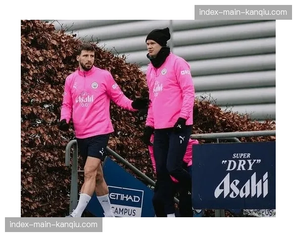 哈兰德因轻微肌肉疲劳缺席挪威队集训,将全力备战月末英超关键战 哈兰德因轻微肌肉疲劳缺席挪威队集训,将全力备战月末英超关键战